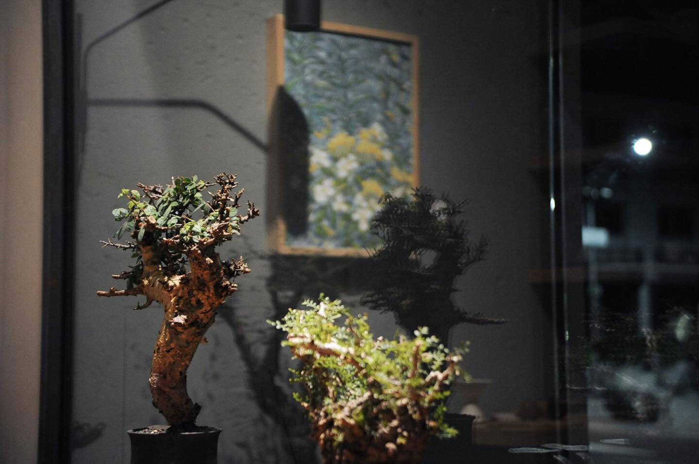 0343_Conservatory TOUR 植栽特展 0343_Conservatory TOUR 植栽特展