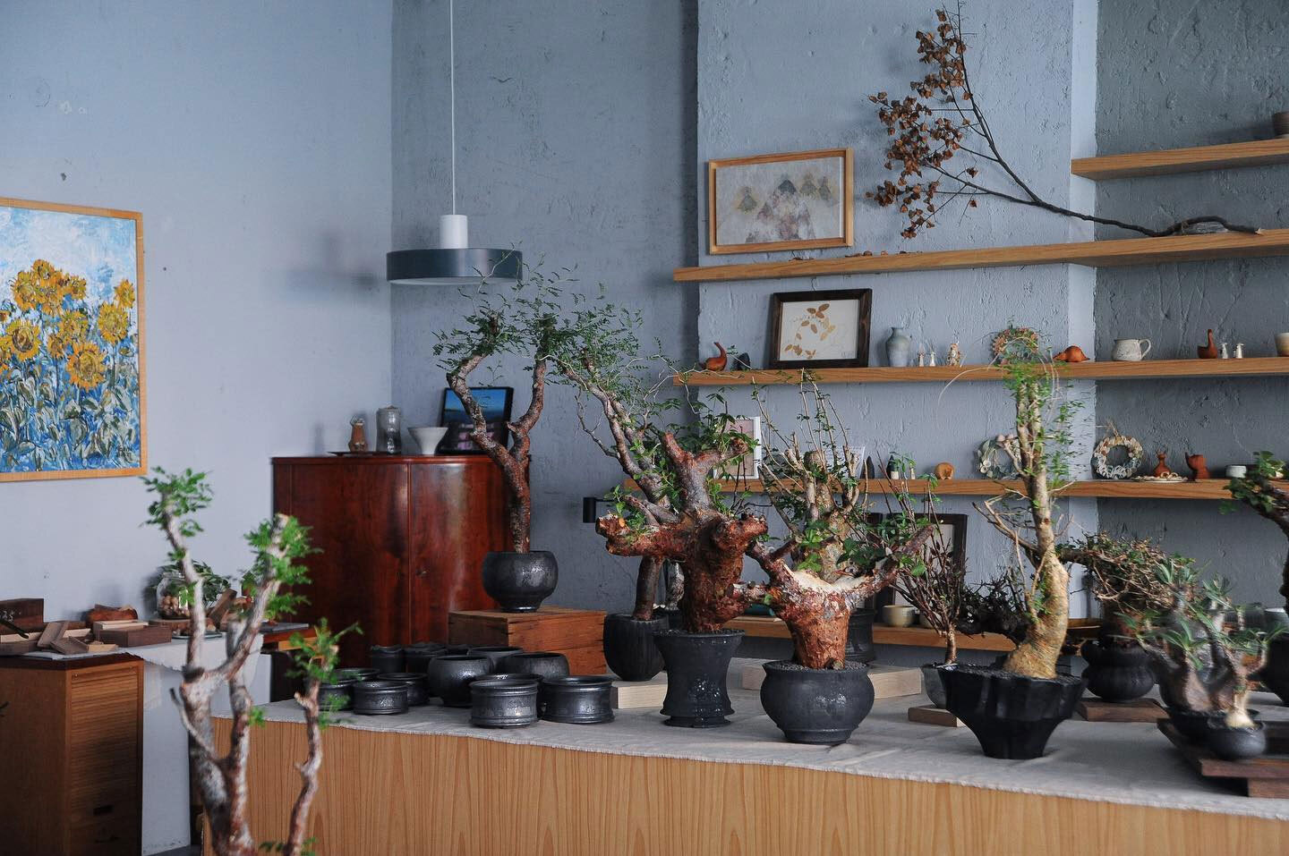 0343_Conservatory TOUR 植栽特展 北歐丹麥家具屋物工作室植栽特展