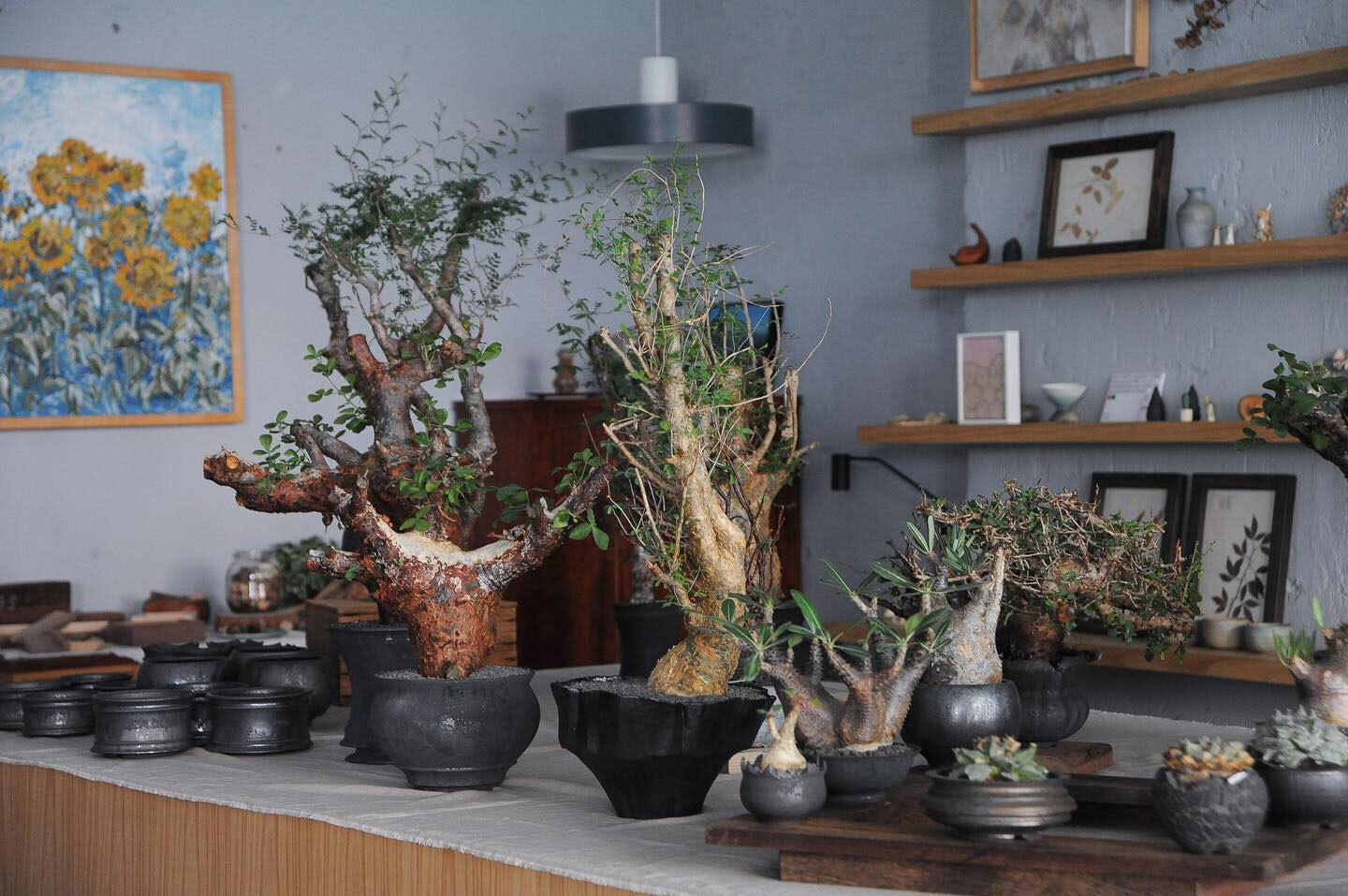 0343_Conservatory TOUR 植栽特展 北歐家具工作室植栽特展