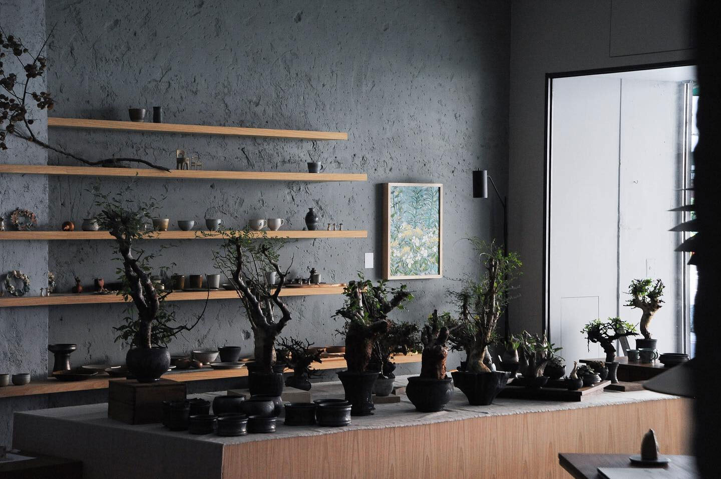 TOUR 植栽特展 TOUR 植栽特展