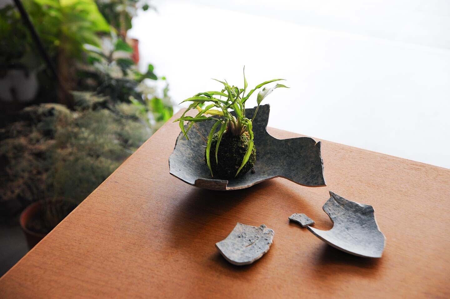 駐村藝術家 DDD ceramics 個展 駐村藝術家 DDD ceramics 個展