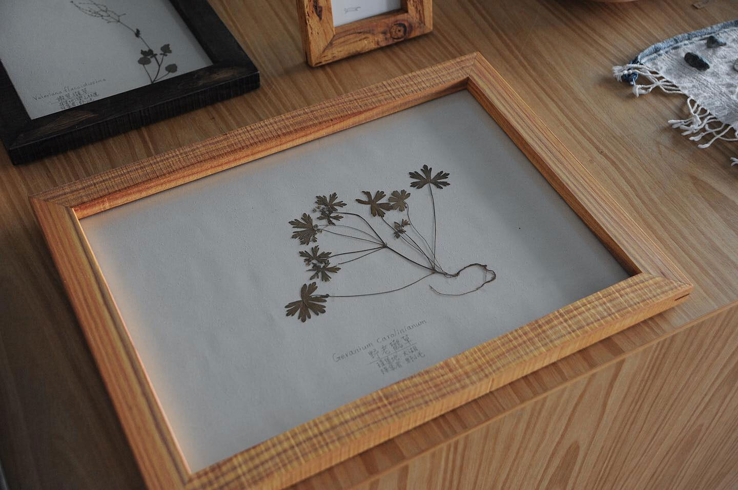拾未|生活器物展 拾未|生活器物展