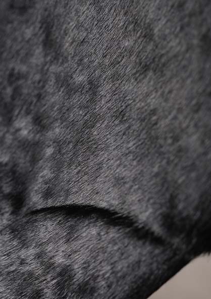 毛料鋼管椅 毛料鋼管椅