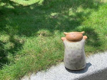 Susanna Lisa Larson Susanna