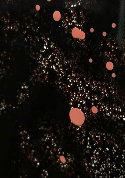 從夢裡到水裡 僅只一次 從夢裡到水裡 僅只一次